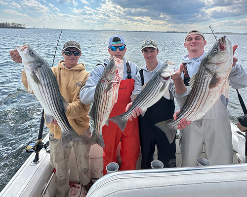 Four young men holding large fish recently caught.