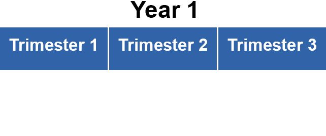 A graphic labeled 'Year 1' showing Trimesters 1, 2, and 3 in blue blocks. There are no ship icons underneath, indicating midshipmen remain on campus for their entire first year.